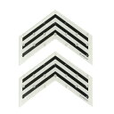 【お得なクーポン発行中】 【国内正規品】 エビス ebs スノーボード アクセサリー デッキパッド ARROW PAD 4400517 WHITE 【24-25...