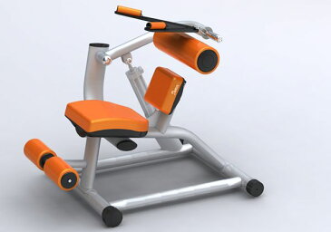 DAIKOU ダイコー GYM アブドミナルクランチ/バックエクステンション DK-1208 筋トレマシン 組立設置料込み