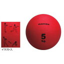 EVERNEW エバニュー メディシンボール5kg ETB4...