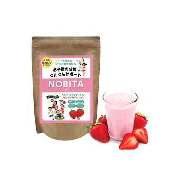 スパッツィオ NOBITA(ノビタ) いちごミルク味 600g ソイプロテイン FD0002-005(いちごミルク味)