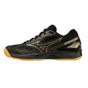 MIZUNO ~Ym TCNXs[h 4 Jr. WjAo[{[V[Y V1GD231041(ubN~S[h) 2023NtăfII