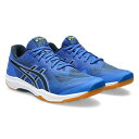 asics アシックス ROTE JAPAN LYTE FF 3（ユニセックス） バレーボールシューズ 1053A054-400(Illusion Blue/French Blue) 2023年秋冬モデル！！