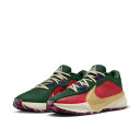 NIKE ナイキ ズームフリーク 5 NRG EP バスケットボールシューズ DZ2945-600(ジムレッド/ファー/コートパープル/メタリックゴールド)