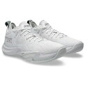 asics アシックス NOVA SURGE LOW 2 バスケットボールシューズ 1061A051-100(White/Pure Silver) 2025年モ...