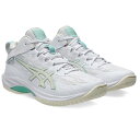 asics アシックス GELHOOP V17 STANDARD バスケットボールシューズ 1063A096-101(White/Cream) 2025年モデル...