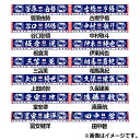 【ポイント5倍】サッカー日本代表 プレーヤーズタオルマフラー 2023　サッカー日本代表アクセサリーjfa-23fw-towelm