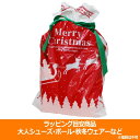 【11/20-11/26 ポイント15倍】クリスマスラッピング 大 リボン付き special-0121