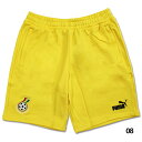 【ポイント10倍】ガーナ代表 FTBLCULTURE ショーツ 【PUMA|プーマ】ナショナルチームウェアー772468
