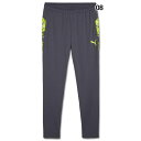 【ポイント10倍】INDIVIDUALCUP TR パンツ 【PUMA|プーマ】サッカーフットサルウェアー660201