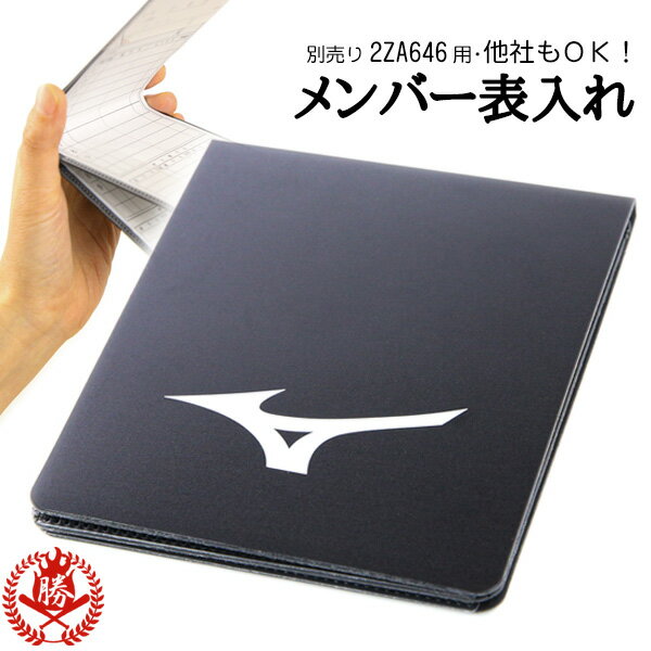 野球 審判用品 シューズ ZETT BSR9665 審判シューズ 球審用 ブラック シューズ袋付き 審判員用品 硬式 軟式 ソフトボール にも