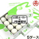 ついに!公認メーカーのJ号練習球登場! ナイガイ 少年軟式ボール J号 練習球 5ダース 少年軟式用 練習用 小学生 少年野球 J号球 ボール naigai-p...