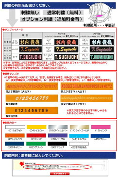 アシックス ゴールドステージ スペシャルオーダー ソフトボールグローブ 基本モデル ARG大谷翔平2017モデル 外野手用 2017年モデル ASICS ソフトボールグラブ z-a-so-sootani2017