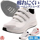野球 / ソフトボール トレーニングシューズ ハイゴールド アップシューズ 24cm〜30cm 中学 高校野球対応カラー有 幅広 ワイド 白 sh-hi-000...