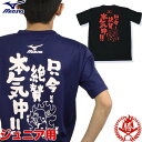 【当店別注デザイン】ミズノ メッセージTシャツ 【只今絶賛本気中】 ジュニア用 文字入りTシャツ 野球 ソフトボール Tシャツ mizuno 87wt210-tadaima