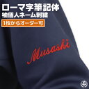 \8/1限定★エントリーでP10倍/刺繍個人ネーム / ローマ字筆記体 野球 ウェア 刺繍 オーダー 名入れ チーム ネーム 袖 MADEin自分刺繍対象商品 ...