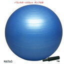 バランスボール セーフティ 55cm ポンプ付 DB55P HATAS(ハタス)