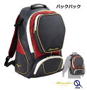 バックパック 40L メンズ ミズノプロ 野球 限定 リュックサック MizunoPro 1FJDB905
