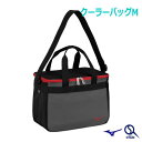 クーラーバッグM 12L 保冷 ショルダー ミズノ 限定品 1FJYB30196