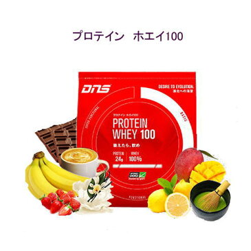 DNSプロテイン プロテインホエイ100 (1050g)3袋セット