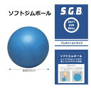 在庫処分 ジムボール バランスボール 小さい ミニ 20cm ジュニアからシニアまで アンチバースト 耐荷重100kg 内転筋 内もも 太もも 腰痛予防 ピラテ...