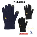 手袋 ニット手袋 ミズノプロ MizunoPro タッチパネル対応 ブレスサーモ あったか 12JYAA01 12jyaa01(4)