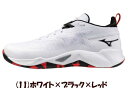 【実店舗共通在庫】ミズノ ウエーブトランジスタ バスケットボールシューズ ユニセックス MIZUNO WAVE TRANSISTA メンズ バッシュ バスケットボール シューズ mizuno バスケシューズ 男性 ミズノバッシュ メンズシューズ バスケットシューズ W1GA240011 ★14000 返品交換不可