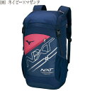 【送料無料※沖縄・離島を除く】【実店舗共通在庫】MIZUNO NXTバックパック 30L リュック スポーツバッグ メンズ バックパック レディース リュックサック 通学 鞄 受注会 限定 返品交換不可 33JD8500 ★8600