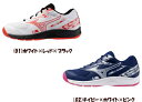 【実店舗共通在庫】ミズノ バドミントンシューズ ユニセックス MIZUNO スカイブラスター4 メンズ レディース バドミントン シューズ Mizuno スカイ...