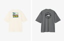 【実店舗共通在庫】ザ・ノース・フェイス ショートスリーブウォータースムースティー メンズ Tシャツ ミックスグレー ホワイトデューン2 バックプリントTシャツ 半袖Tシャツ ザ ノースフェイス メンズTシャツ トップス ゴールドウィン正規品 THE NORTH FACE NT12431 ★6000
