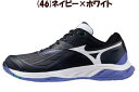 【実店舗共通在庫】ミズノ ウエーブファング2 バドミントンシューズ メンズ レディース バドミントン シューズ MIZUNO WAVE FANG 2 男性 ミズ...