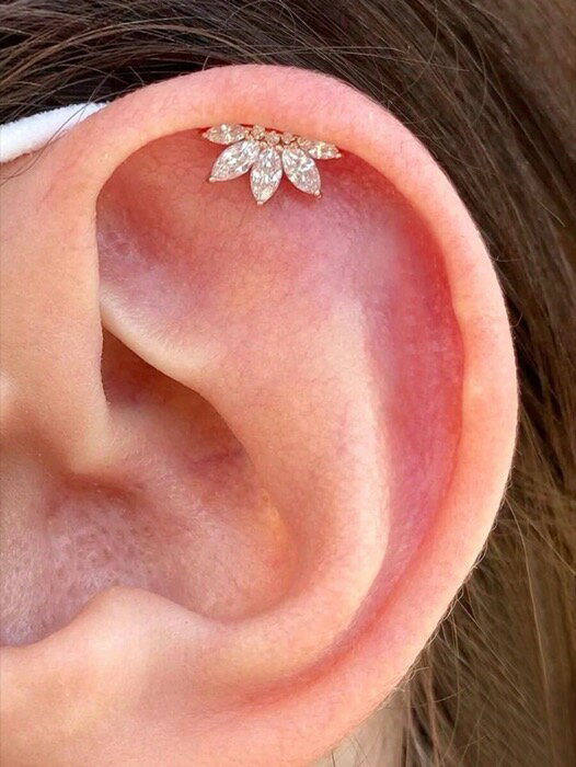 [ 812٤ǤϤͽ ] 奨꡼ ǥ 䡼꡼ С å  եå 塼ӥå륳˥  ...