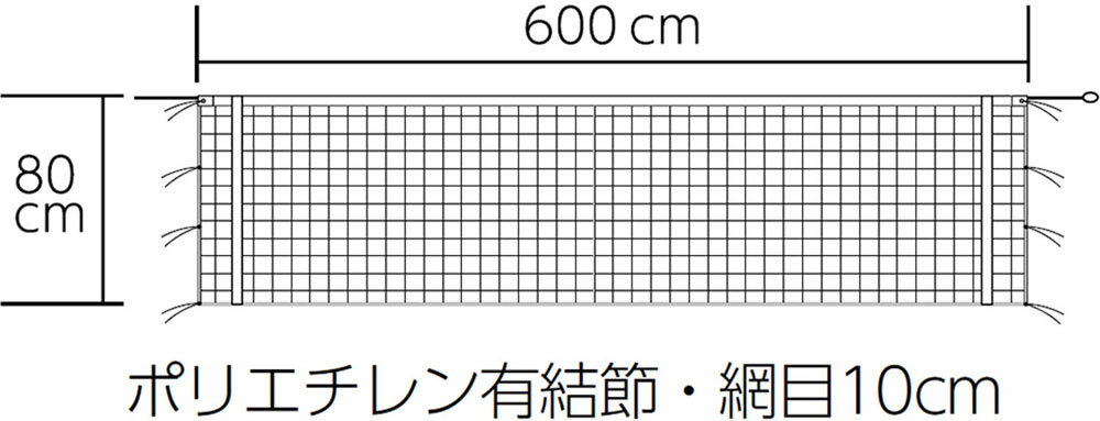 【ポイントアップ中！】 トーエイライト バレーボール ソフトバレーボールネット B－2535 B2535