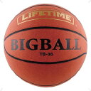 y|CgAbvIz LIFETIME Ct^C oXPbg oXPbgrbO{[ BIGBALL V[gK a29cm oXP K g[jO  ̈ wZ Nu W[ S  TB36