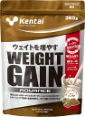 【6/30まで ポイント最大10倍!】 ケンタイ Kentai ウェイトゲイン アドバンス ミルクチョコ風味 360g ホエイ カゼイン トレーニング フィットネス たんぱく質 カーボ 炭水化物 K3120