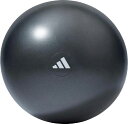 【7/11 2時まで ポイント最大15倍!】 ジムボール65CM グレー ADBL11246GR スポーツ ADBL11246 GR