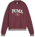 【ポイントアップ中！】 PUMA プーマ PUMA SQUAD クルースウェット FL 623333 22