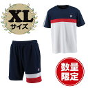 【4/30から5/6まで ポイント最大10倍!】 FILA フィラ テニス ゲームウェア 上下セット ゲームシャツ ショートパンツ テニスウェア 半袖 半ズボン...