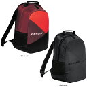 ダンロップ DUNLOP テニス バックパック テニスラケット2本収納可 30L リュック デイパック ラケットバッグ 部活 練習 トレーニング 試合 大会 合宿 DTC2431