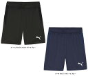 【5/9から ポイント最大10倍!】 プーマ PUMA サッカー サッカー メンズ teamGOAL マルチ ショーツ 659409