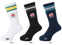 【9/3 20時から 100円OFFクーポン&P最大15倍】 フィンタ FINTA サッカー GDZ ストライプミドルソックス FT4360
