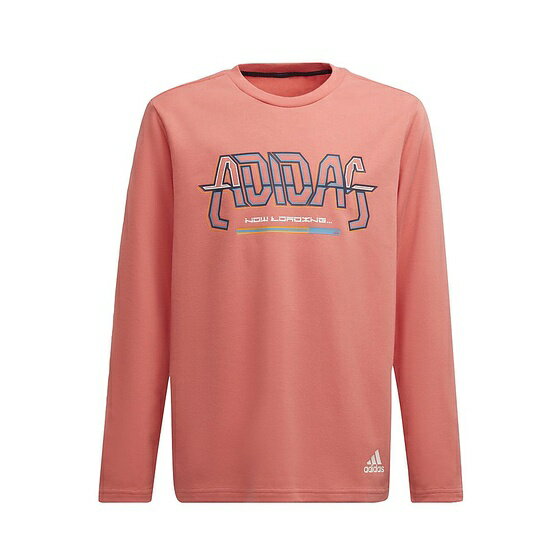 adidas (アディダス) ARKD3 クルーネック スウェットシャツ / U ARKD3 CREW SWEATSHIRT ジュニアスポーツウェア Tシャツ ジュニア セミターボ/ホワイト/マルチカラー SF443 HD6866