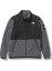 Ρե THE NORTH FACE Denali Jacket (ǥʥꥸ㥱å) ȥåץ ե꡼˥å