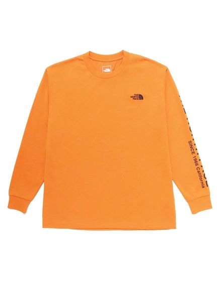 THE NORTH FACE(UEm[XEtFCX)L/S MESSAGE LOGO TEEiL / SbZ[WSeBj