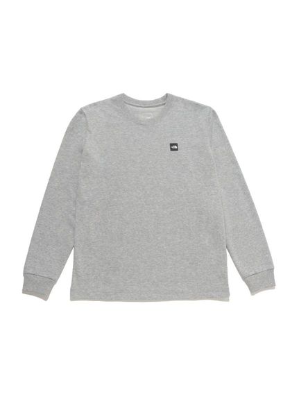 THE NORTH FACE(UEm[XEtFCX)L/S Small Box Logo Tee (OX[uX[{bNXSeB[)