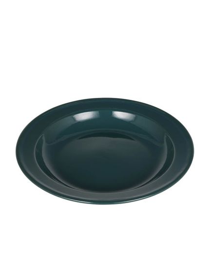 _g DULTON ENAMELED PLATE L GREEN [EL[ [EL[ȆObY