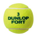 **テニス 硬式 ボール 2個入りDUNLOP FORT ダンロップ フォート 2球入缶 SDGS