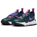 NIKE/ナイキ チーム ハッスル D 11(DV8996-300)