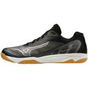 mizuno/MIZUNO FLY/V1GA233001
