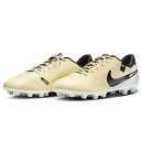 NIKE/ナイキ ティエンポ レジェンド 10 アカデミー HG(DV4339-700)