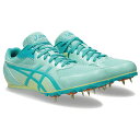 asics/アシックス エフォート 13(1093A167-301)